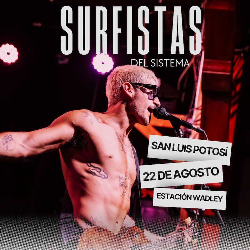 Surfistas del sistema